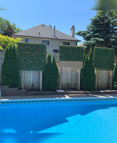 pool backyard with fence