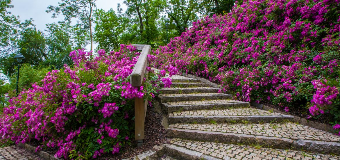 Interlocking steps are still trendy in 2024