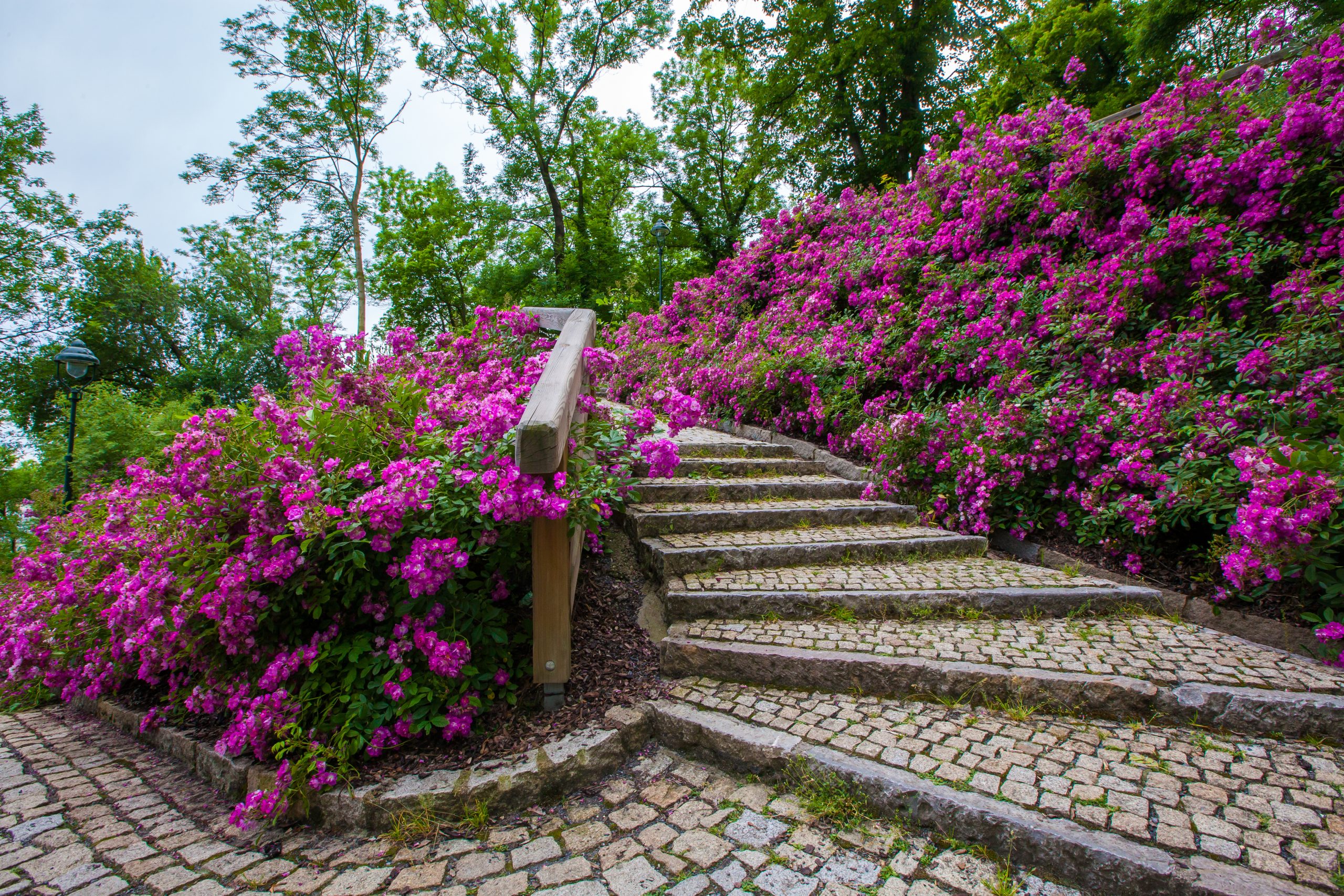 Interlocking steps are still trendy in 2024