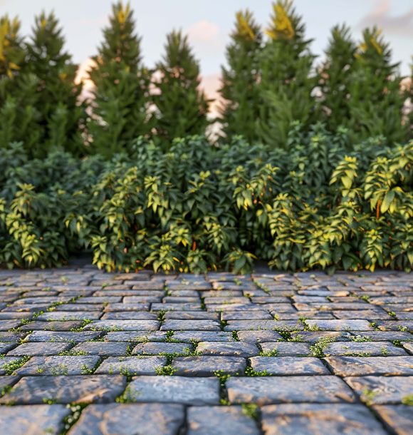 Interlocking driveway with plants