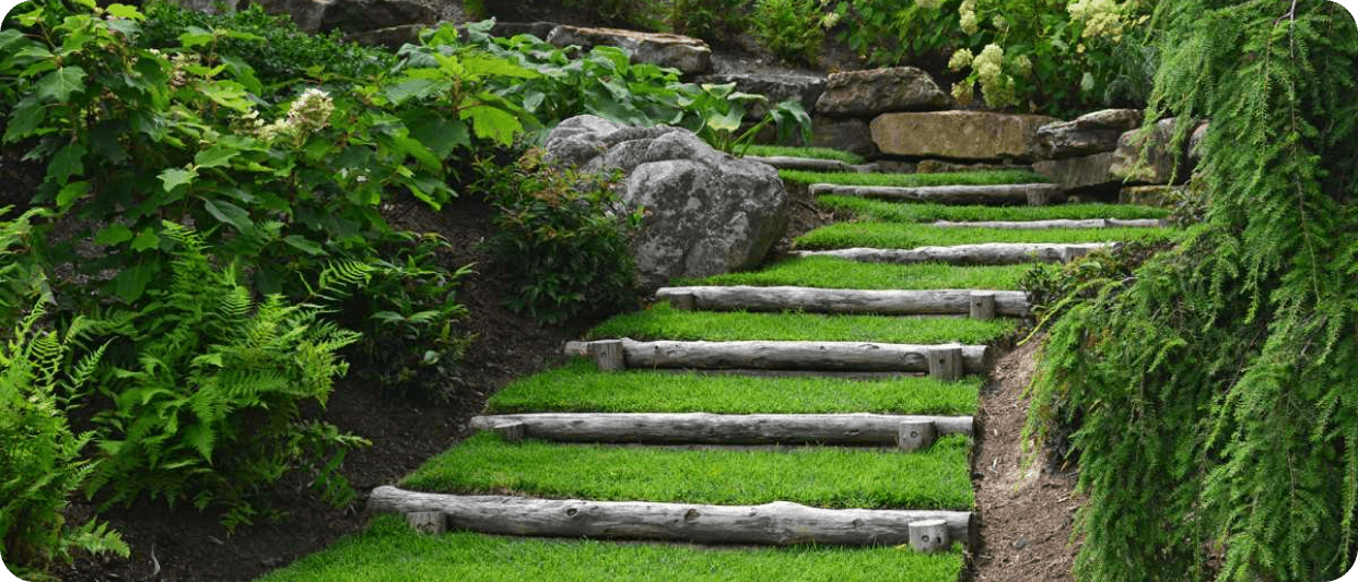 Interlocked steps with grass EcoPro