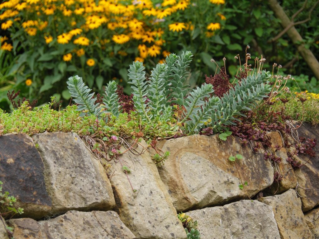 garden armour stone