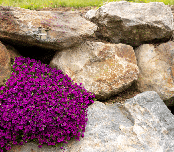 Armour stone retaining wall with flowers