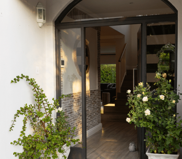 Basement walkout with plants