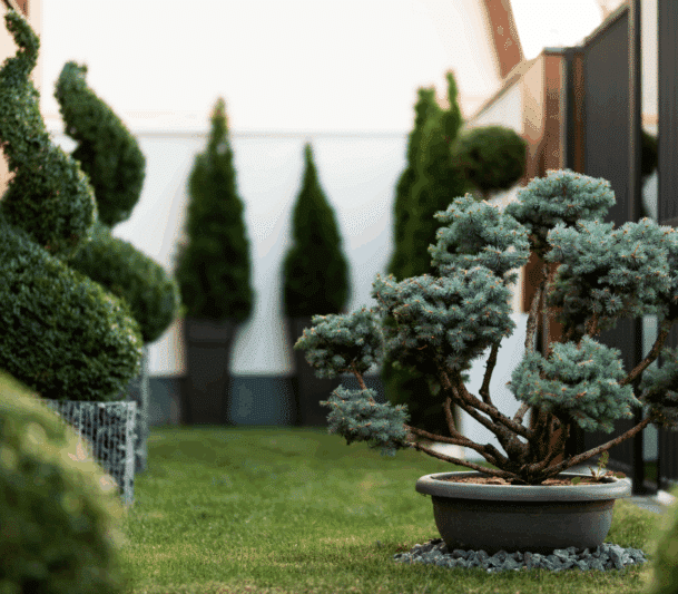 Customized landscaping in Burlington