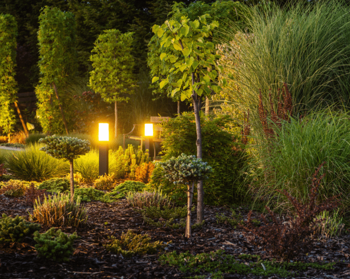 Landscape lighting in the yard