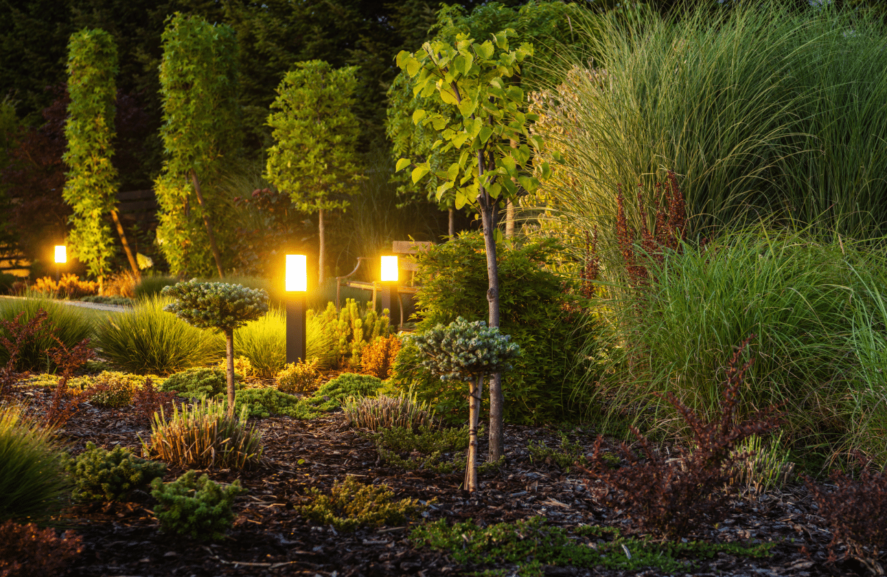 Landscape lighting in the yard
