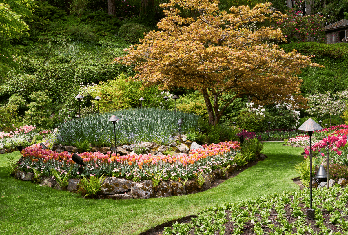 Beautiful yard with flowers