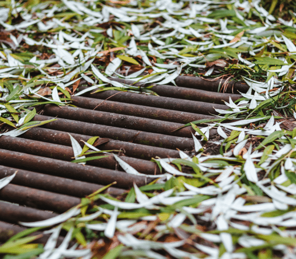 Drainage system under fallen leaves