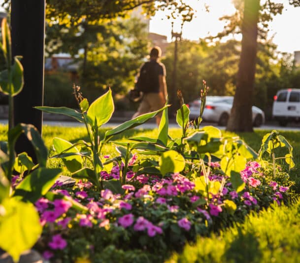 why choose ecopro landscapers oakville