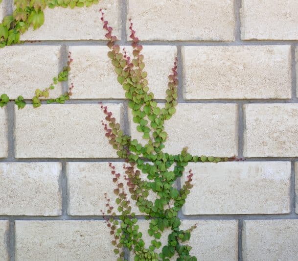 white interlocking retaining wall