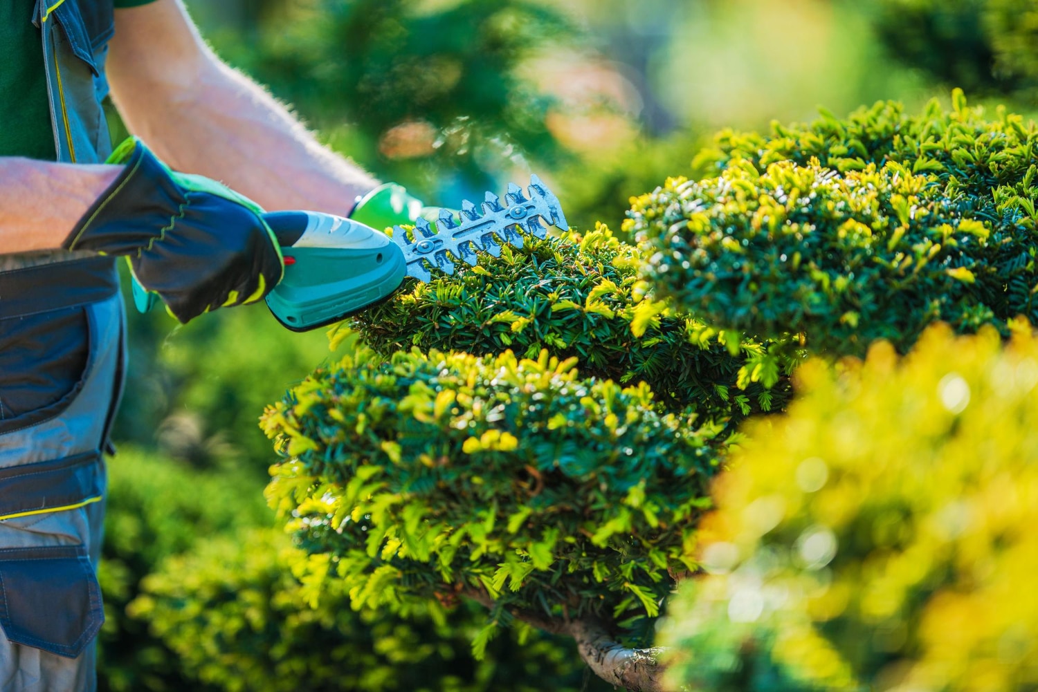 richmond hill landscapers