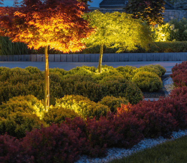 Landscape lighting in plants