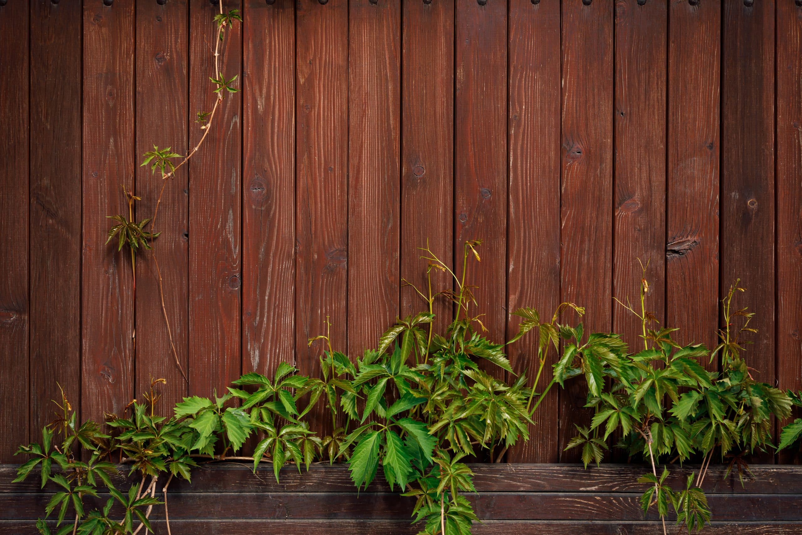 Fence design and construction Toronto