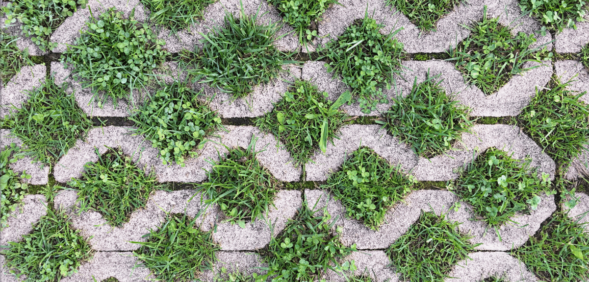 Permeable pavement