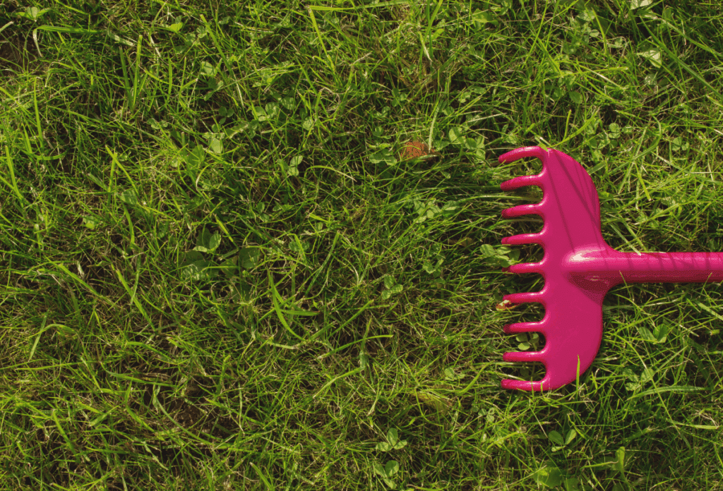 Green lawn with rake