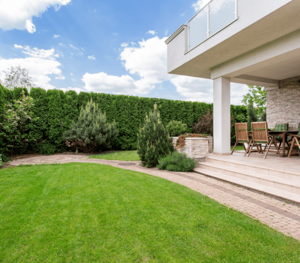 Frontyard with sodding and plants
