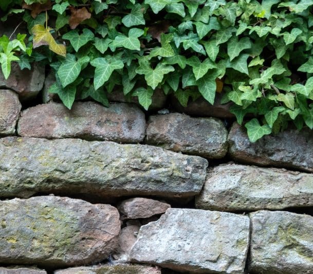 Armour stone retaining wall with plants