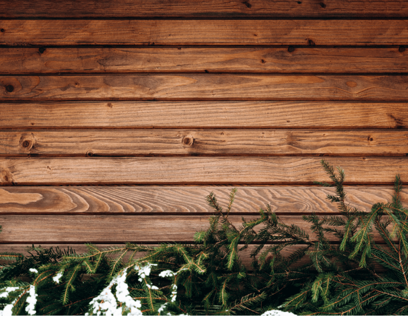 Wood retaining wall with fir branches